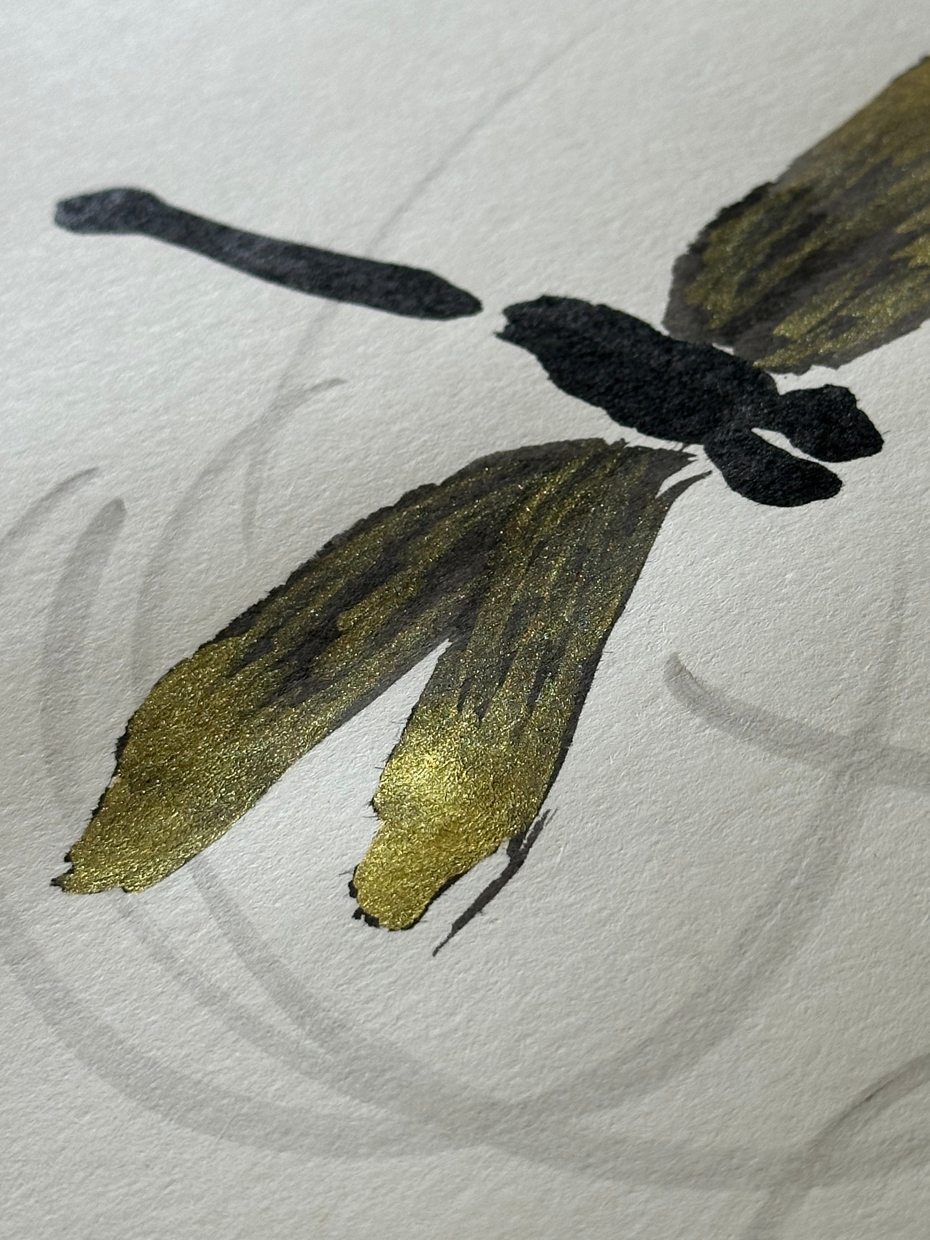 No. 26 Dragonflies