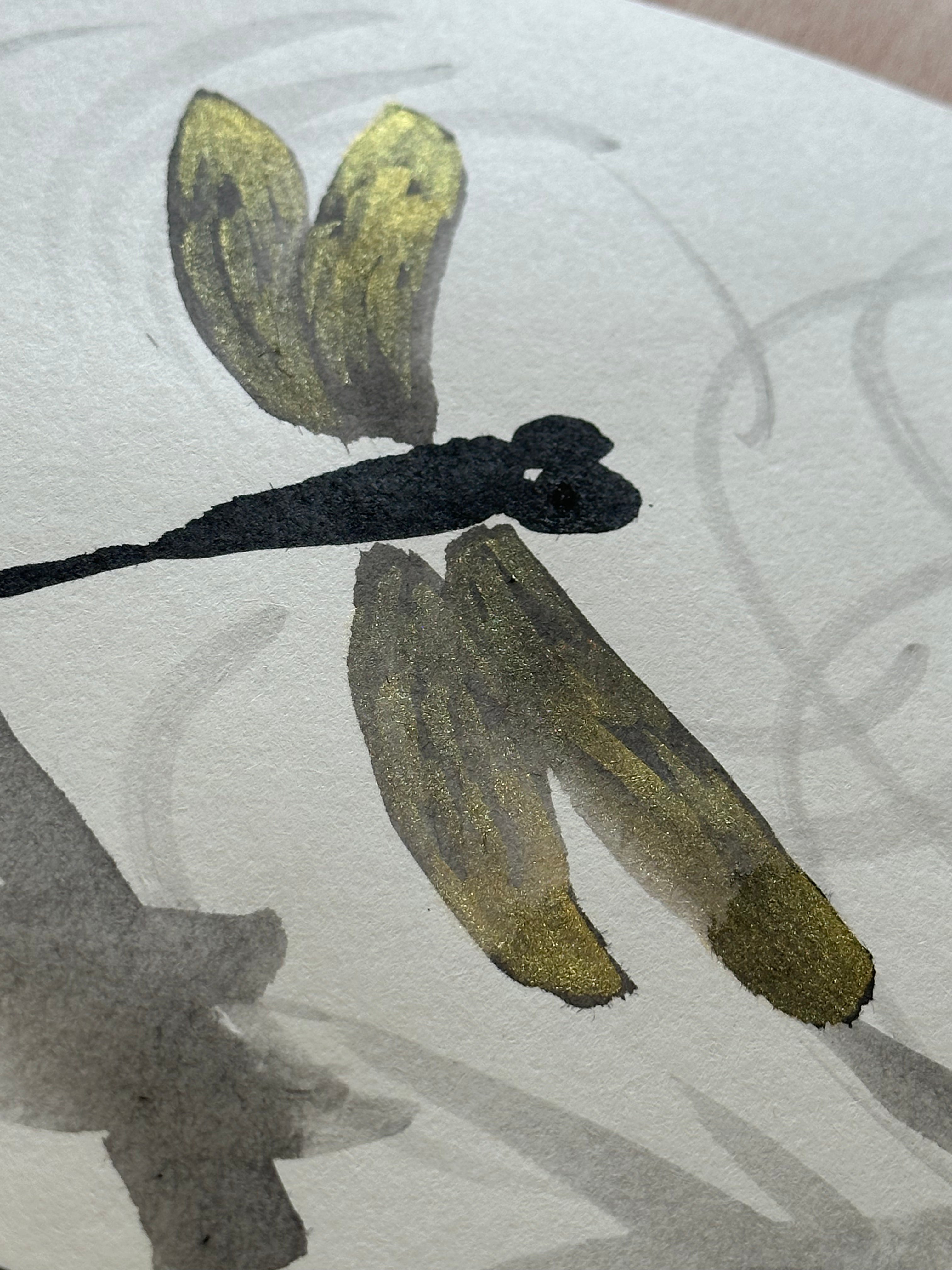 No. 26 Dragonflies