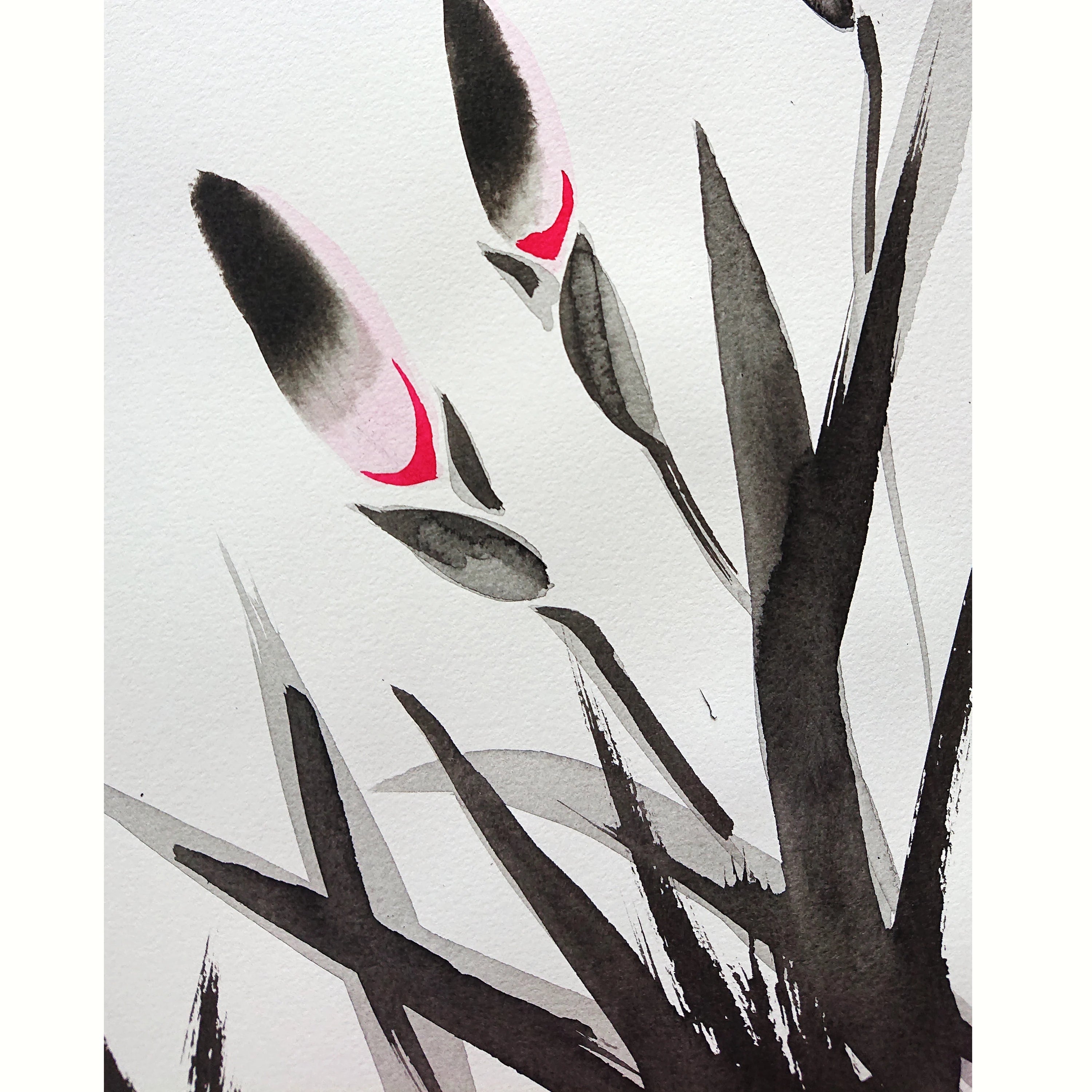 No. 15 The Irises
