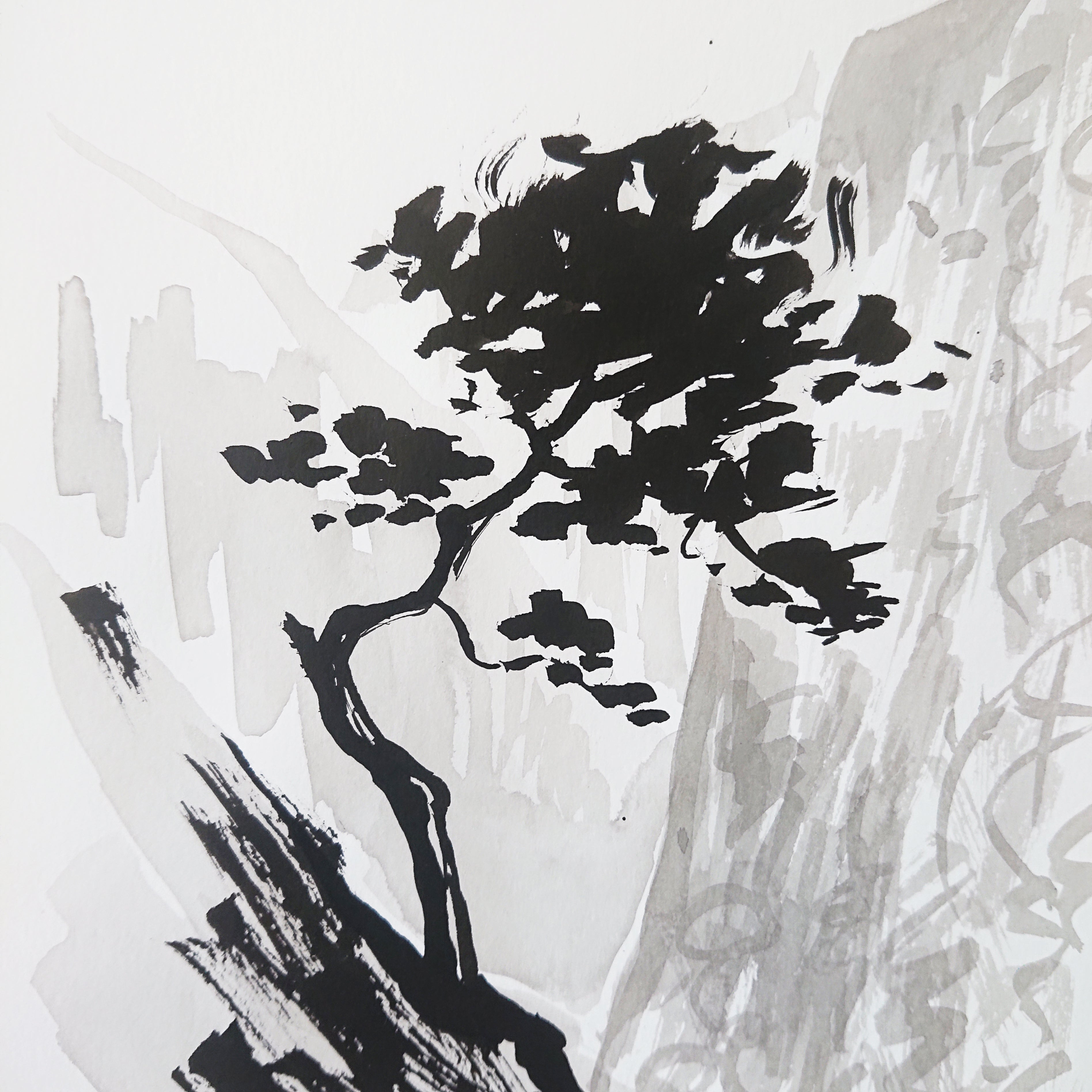 No. 8  The Lonely Pine